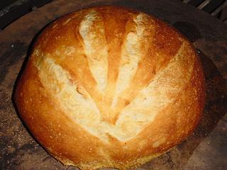 Baguette - no knead - larger loaf