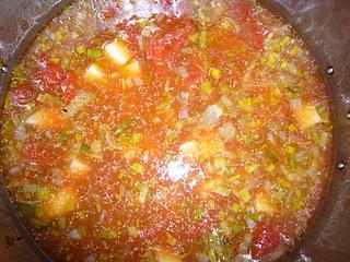 Tomato Soup with Fennel, Leek and Potato